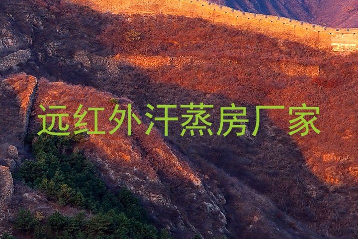 远红外汗蒸房厂家