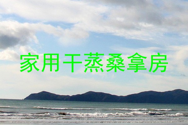 家用干蒸桑拿房