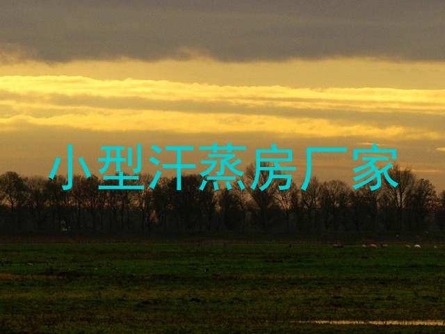 小型汗蒸房厂家