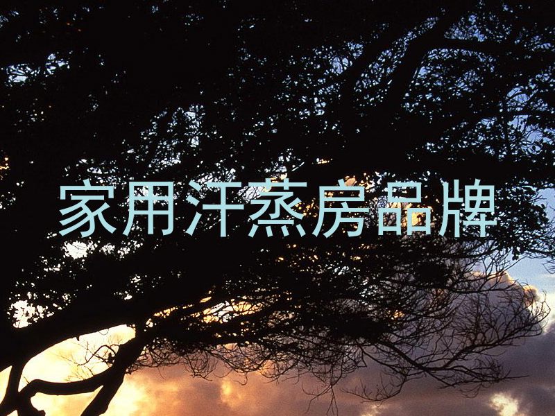 家用汗蒸房品牌