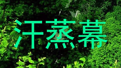 汗蒸幕