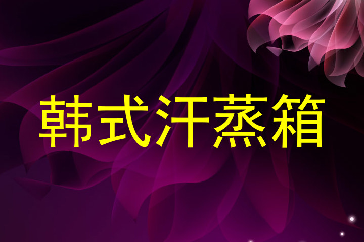 韩式汗蒸箱