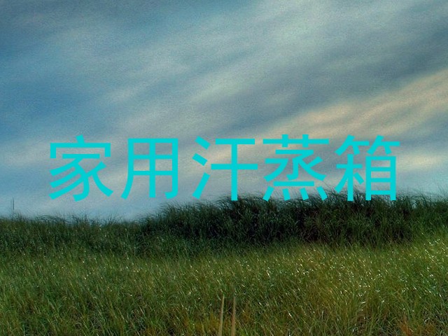 家用汗蒸箱
