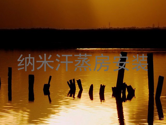 纳米汗蒸房安装