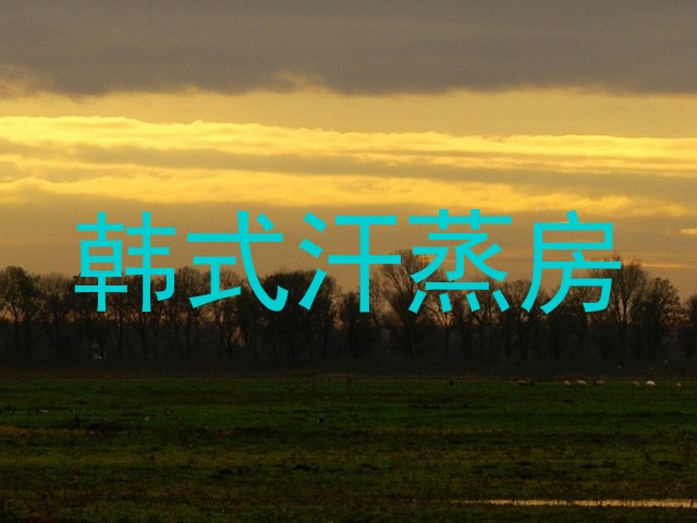 韩式汗蒸房