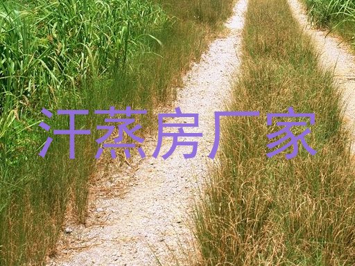 汗蒸房厂家