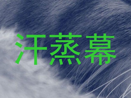 汗蒸幕