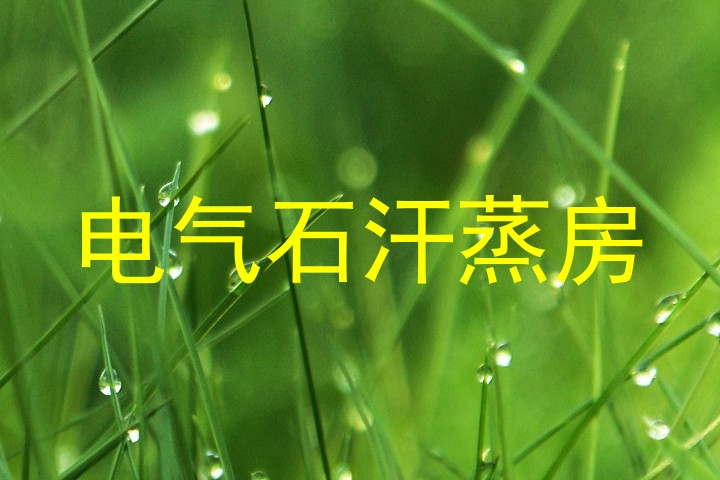 电气石汗蒸房