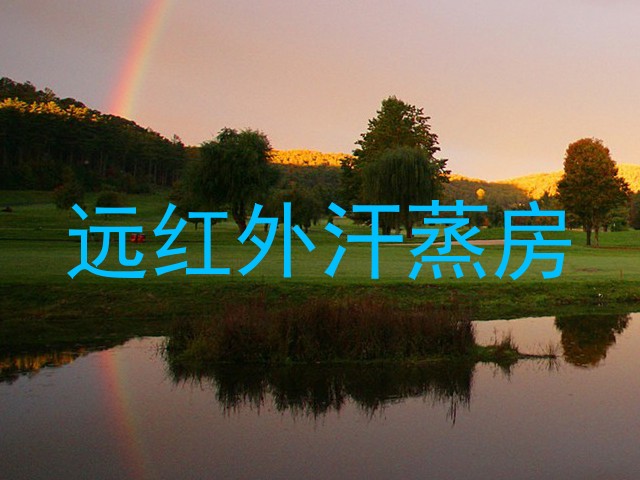 远红外汗蒸房