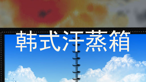 韩式汗蒸箱