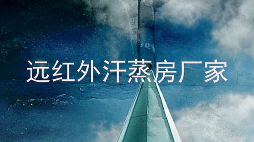 远红外汗蒸房厂家