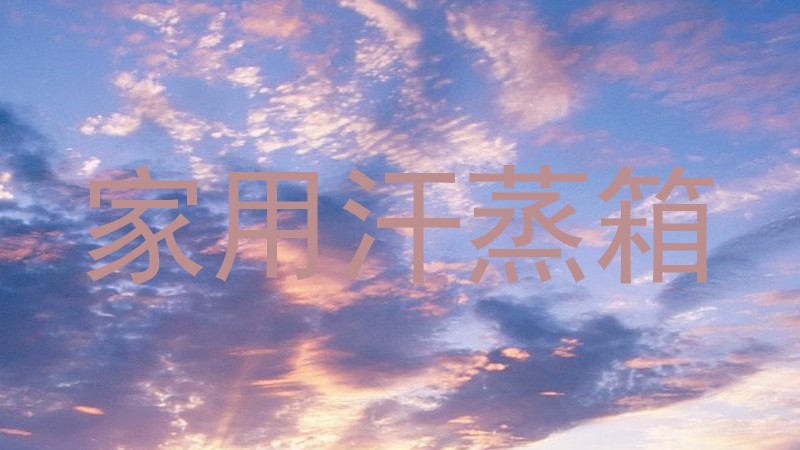 家用汗蒸箱