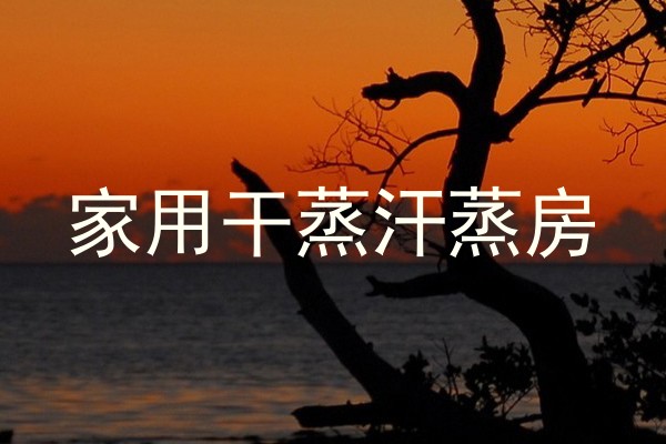 家用干蒸汗蒸房
