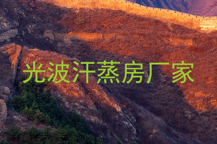 光波汗蒸房厂家