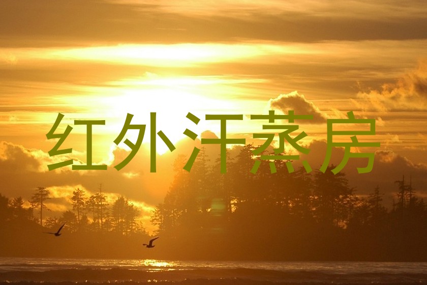红外汗蒸房