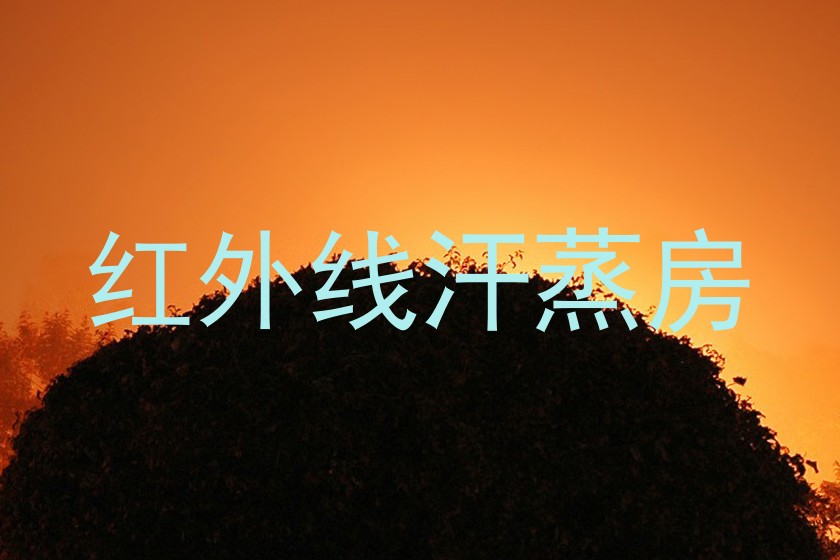红外线汗蒸房