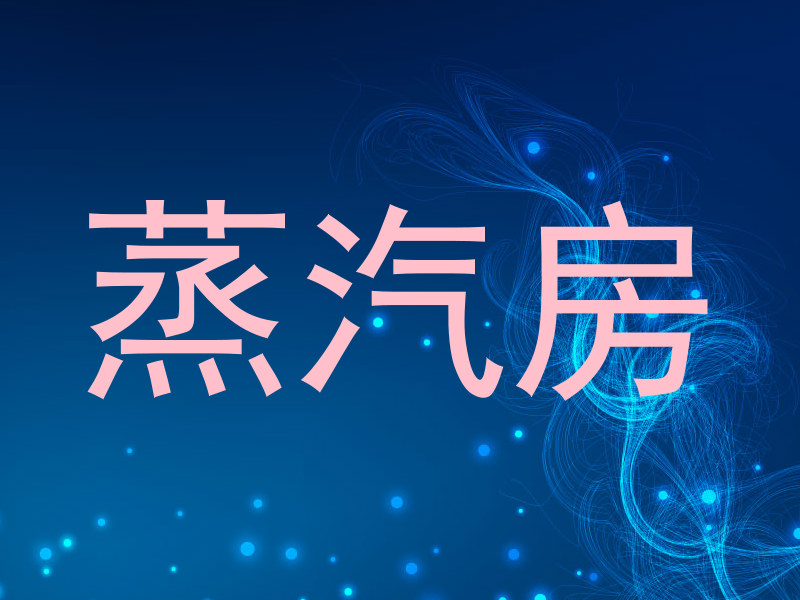 蒸汽房