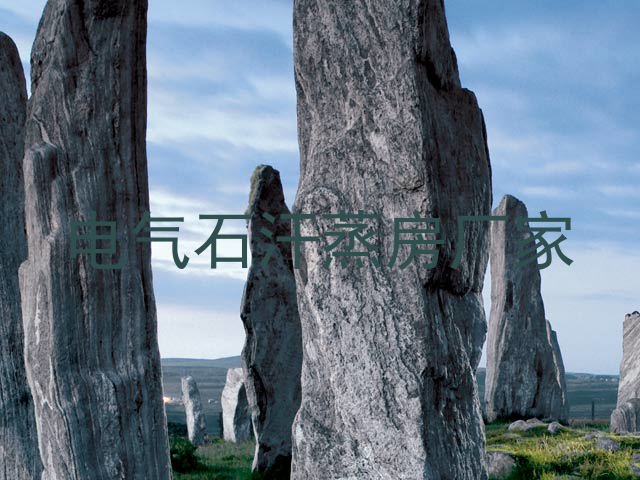 电气石汗蒸房厂家