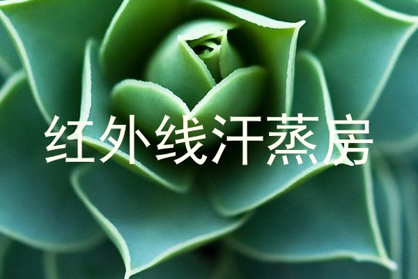 红外线汗蒸房