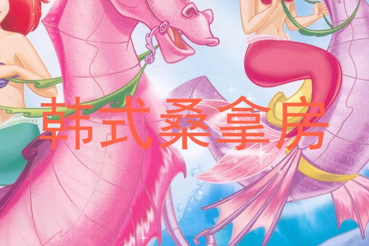 韩式桑拿房