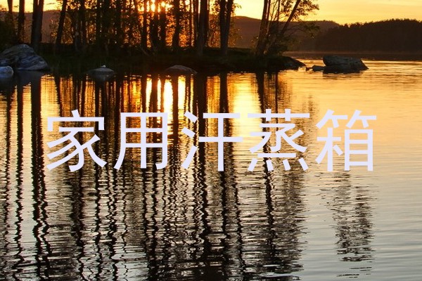 家用汗蒸箱