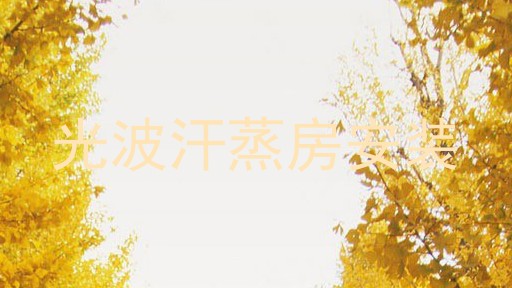 光波汗蒸房安装