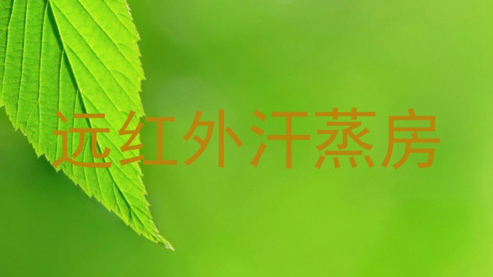 远红外汗蒸房