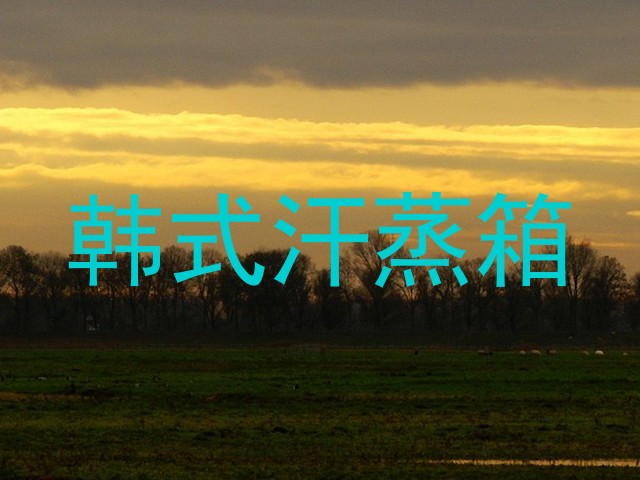 韩式汗蒸箱