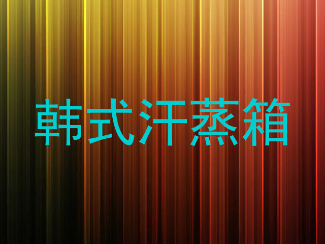 韩式汗蒸箱