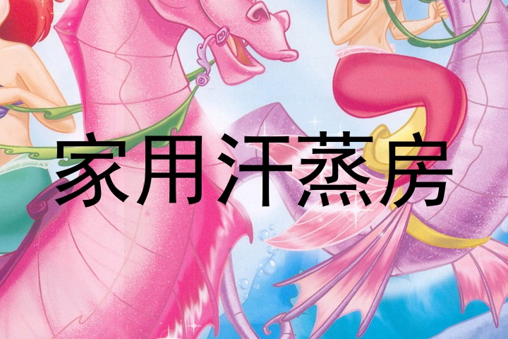 家用汗蒸房