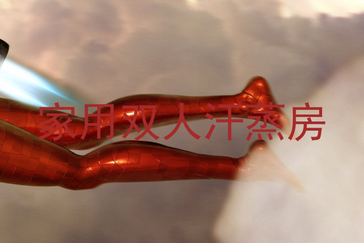 家用双人汗蒸房