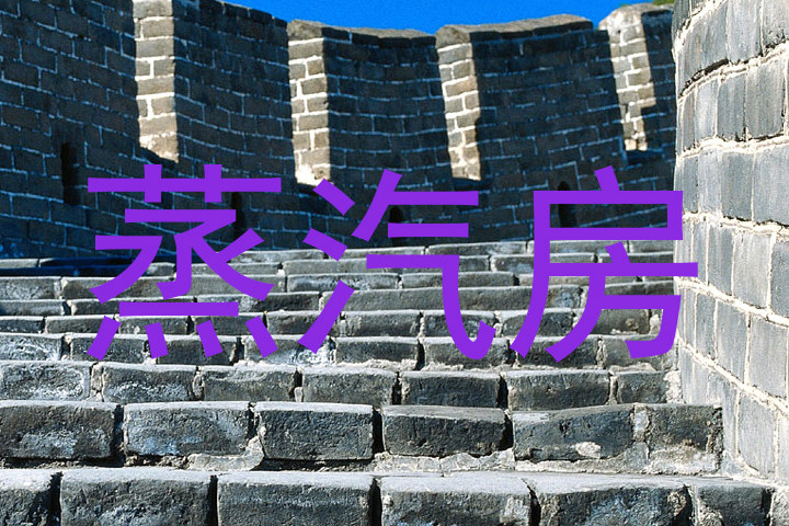 蒸汽房