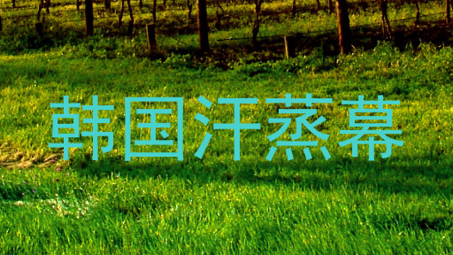 韩国汗蒸幕