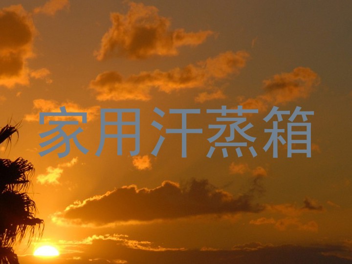 家用汗蒸箱