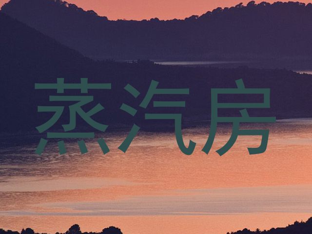 蒸汽房