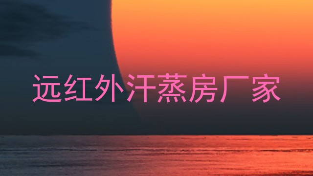 远红外汗蒸房厂家