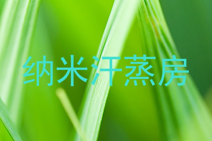 纳米汗蒸房