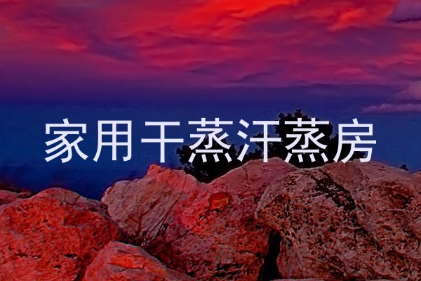 家用干蒸汗蒸房