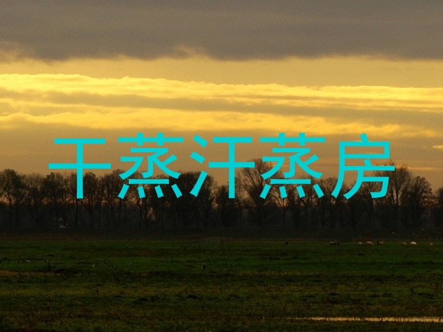 干蒸汗蒸房