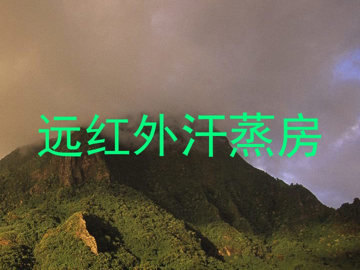 远红外汗蒸房