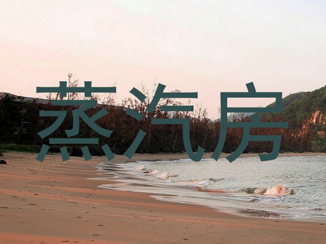 蒸汽房