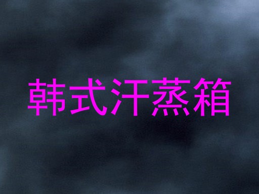 韩式汗蒸箱