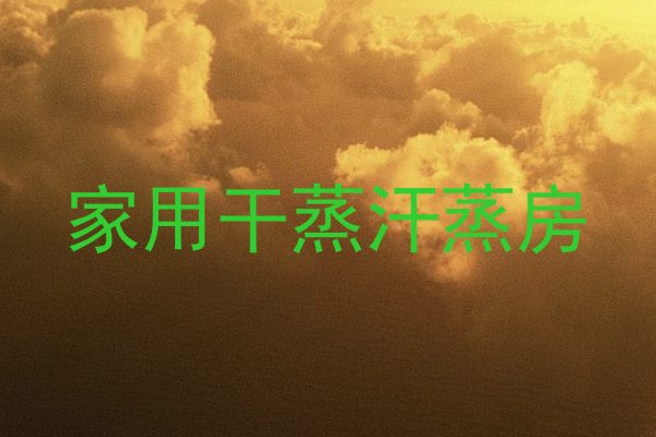 家用干蒸汗蒸房