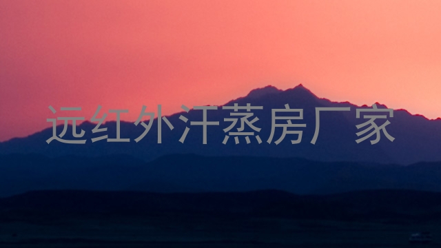 远红外汗蒸房厂家