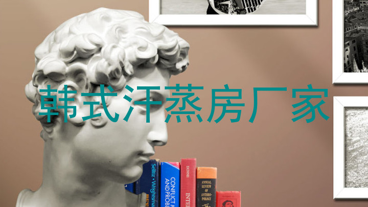 韩式汗蒸房厂家
