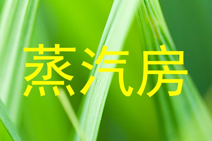 蒸汽房