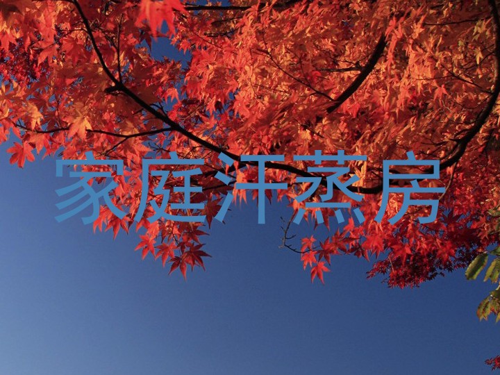 家庭汗蒸房