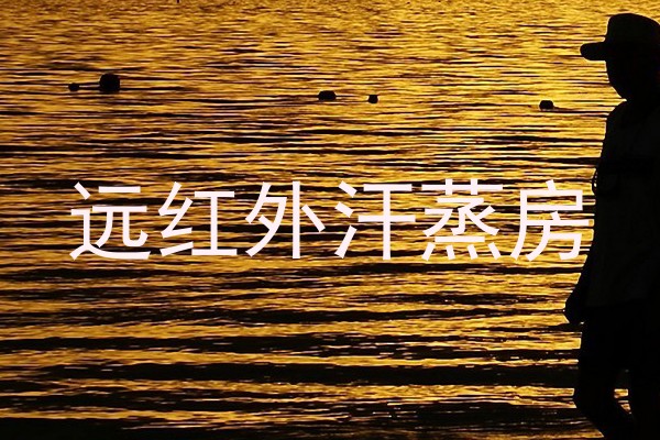 远红外汗蒸房