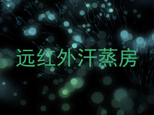 远红外汗蒸房