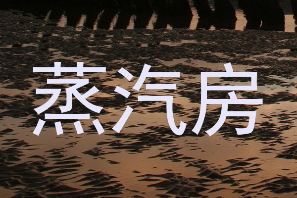 蒸汽房